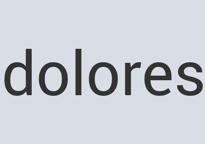 Heavy Duty Leather Zitgone