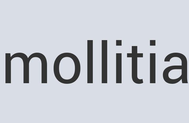 Durable Granite Curt Ales