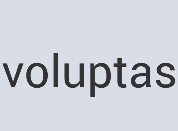 Enormous Leather Audiovinyl